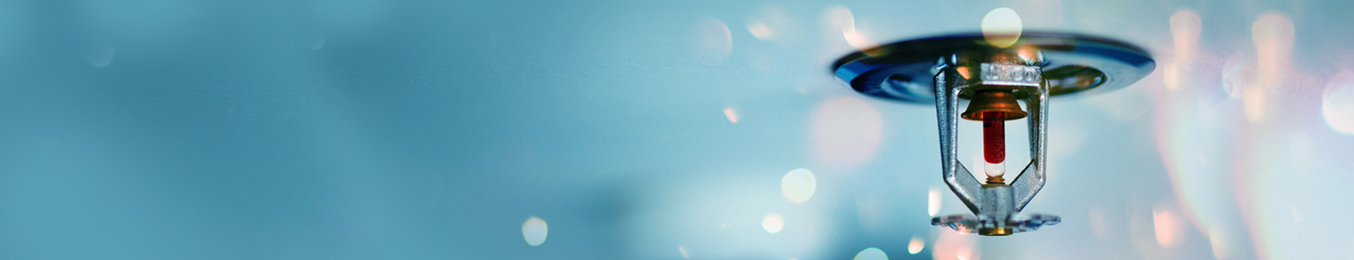 Tại sao chọn chúng tôi